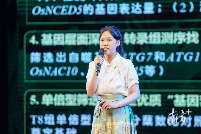  南方+ 许舒智 拍摄